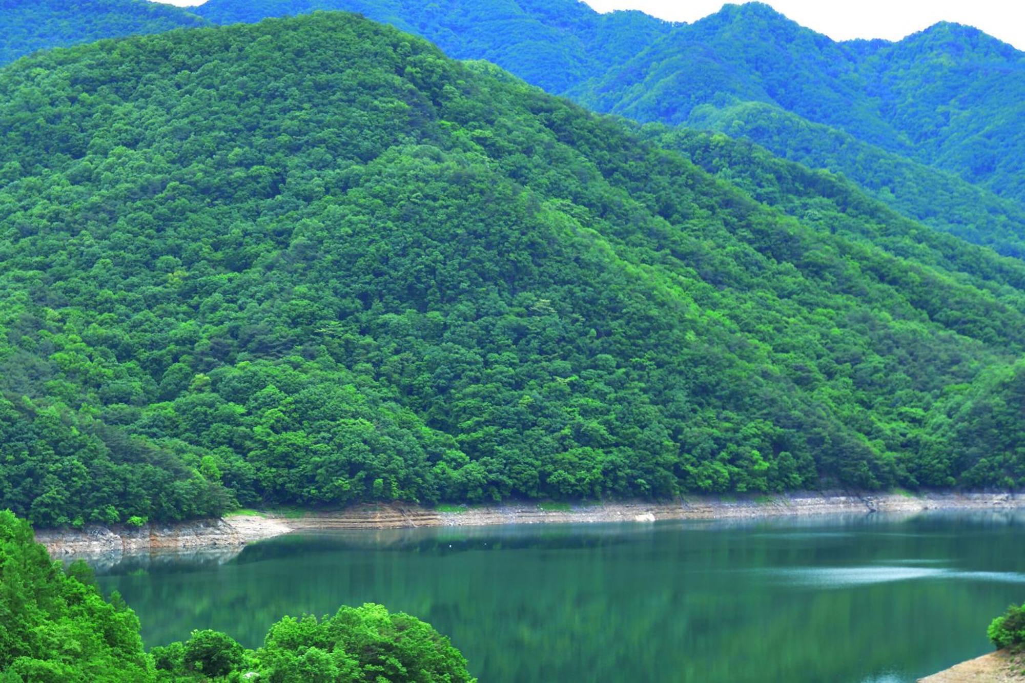 Chungju Penates Poolvilla A Exterior foto